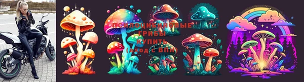 кокаин Гусиноозёрск