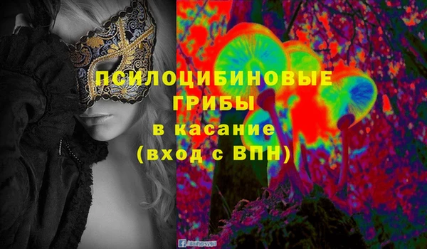 спайс Гусев