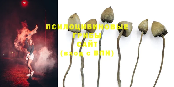 таблы Горно-Алтайск