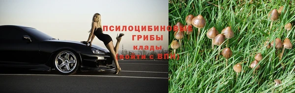 стаф Хадыженск
