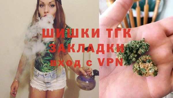 спайс Гусев