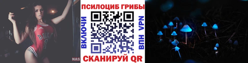 Галлюциногенные грибы Psilocybine cubensis  купить наркотики сайты  Вольск 
