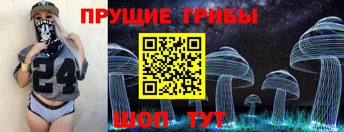 Галлюциногенные грибы Psilocybe Вольск