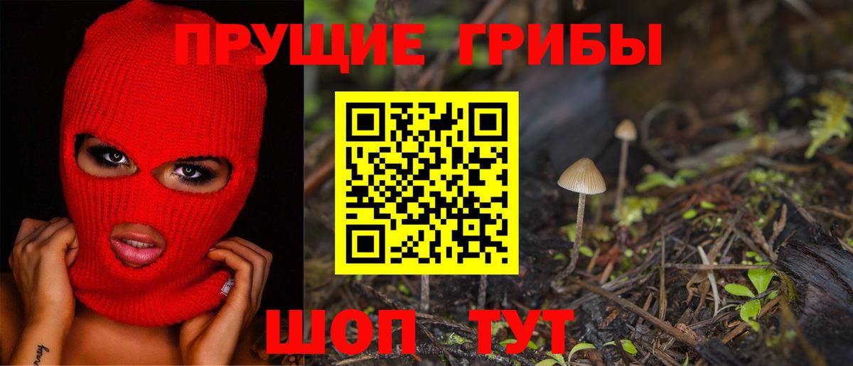 Вольск  цена   Вход с VPN  Псилоцибиновые грибы Psilocybine cubensis 