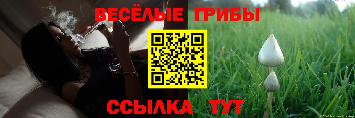 Галлюциногенные грибы Magic Shrooms  Вольск  Псилоцибиновые грибы мухоморы 