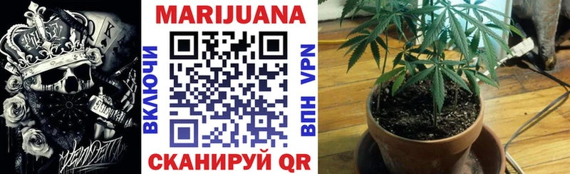 Конопля SATIVA & INDICA хочу наркоту Вольск